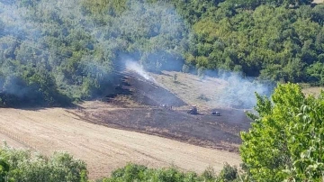 Anız yangını ormana sıçramadan söndürüldü
