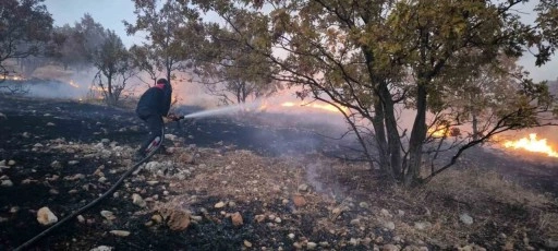 Anız yangını ormanlık alana sıçradı