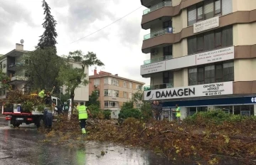 Ankara’da etkili olan fırtına ağaçların devrilmesine neden oldu
