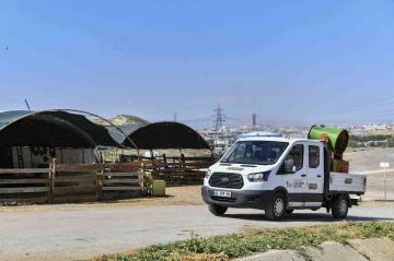 Ankara’da kurban satış ve kesim alanlarında ilaçlama seferberliği
