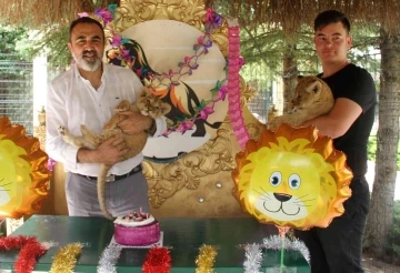 Ankara’nın aslanlarına 10 Ağustos Aslanlar Günü’nde pastalı kutlama
