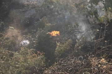 Antakya’da otluk alanda çıkan yangın büyümeden söndürüldü
