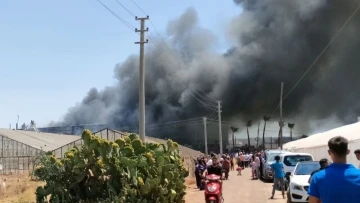 Antalya’da çiçek işleme tesisinde yangın
