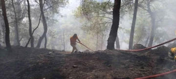 Antalya’da çıkan orman yangını kontrol altına alındı
