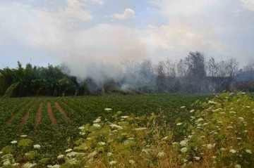 Antalya’da çıkan yangın ağaçlara sıçradı, vatandaş korkuya kapıldı
