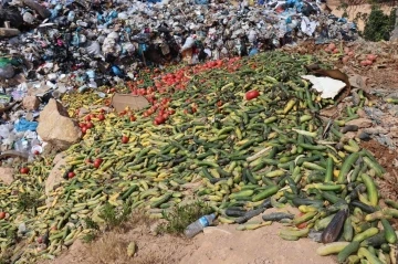 Antalya’da çöpe dökülen sebze açıklaması: &quot;İnsan sağlığını tehdit eden ürünler&quot;
