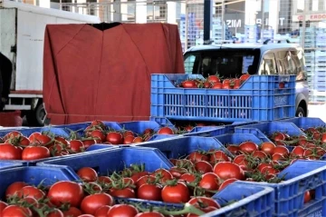 Antalya’da domates miktarı azaldı, sebze miktarı arttı
