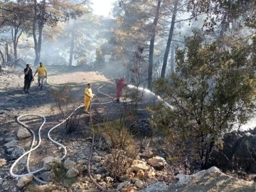 Antalya'da orman yangını (2)