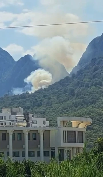 Antalya’da orman yangını
