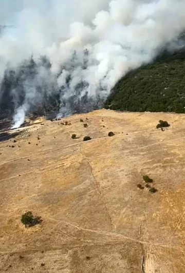 Antalya'da orman yangını