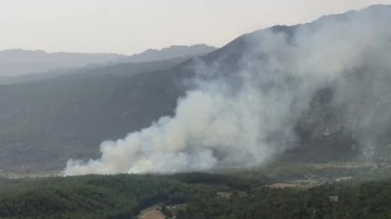 Antalya'da orman yangını