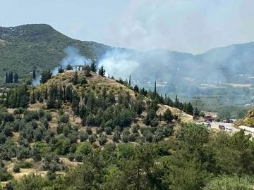 Antalya’da orman yangını büyümeden söndürüldü
