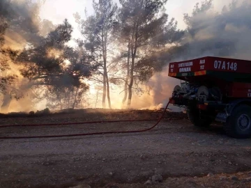 Antalya’da orman yangını büyümeden söndürüldü
