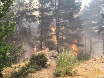 Antalya’da orman yangını devam ediyor

