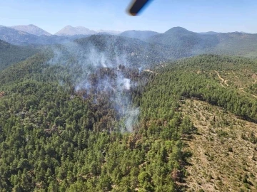 Antalya’da orman yangını kontrol altına alındı
