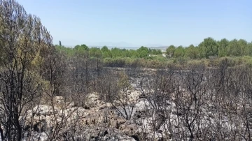 Antalya’da orman yangınında 2 hektar alan zarar gördü
