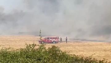 Antalya’da sazlık alan yangını
