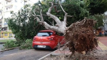 Antalya'da şiddetli yağış ve fırtına; tekneler battı, ağaçlar devrildi