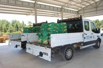 Antalya’da üreticiye silajlık mısır tohumu desteği sürüyor
