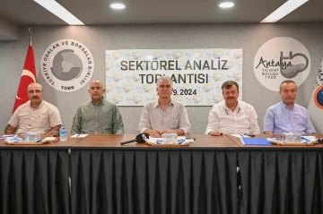 Antalya’da zeytin rekoltesinde geçen yıla göre yüzde 30 artış bekleniyor
