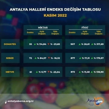 Antalya Ticaret Borsası kasım ayı hal endeksini açıkladı
