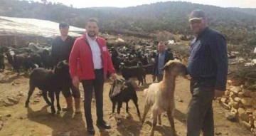 Antalya’da çobanlardan Kızılay’a 10 küçükbaş hayvan bağışı