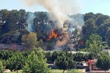 Antalya'da konteyner yangını ormanlık alana sıçradı