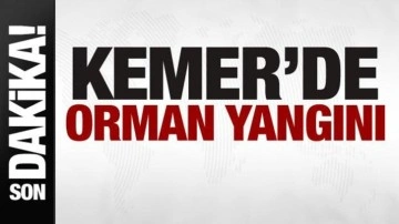 Antalya'nın Kemer ilçesinde orman yangını çıktı