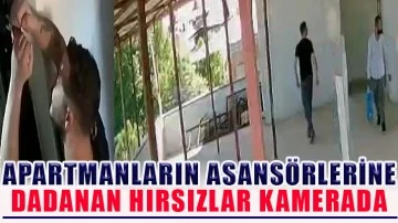 Apartmanların asansörlerine dadanan hırsızlar kamerada