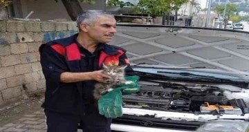 Aracın motor kısmına sıkışan kedi kurtarıldı