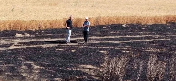 Arazi yangınında 50 dekarlık alan zarar gördü
