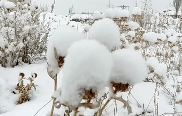 Ardahan beyaza büründü
