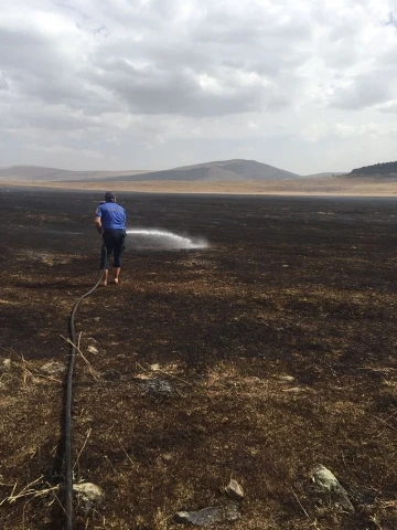 Ardahan’da çıkan anız yangını söndürüldü
