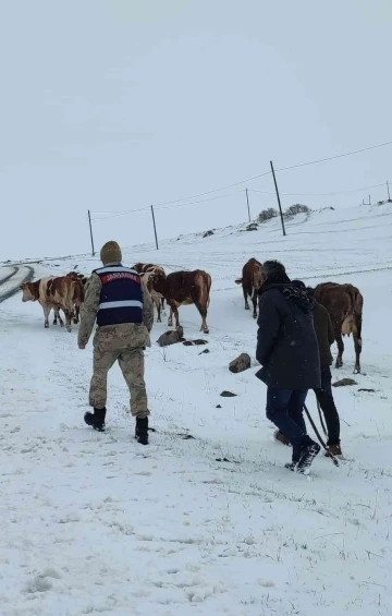 Ardahan’da hayvan otlatırken kaybolan yaşlı kadın bulundu
