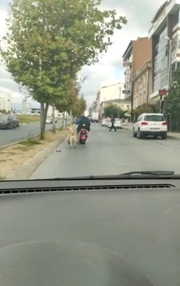 Arnavutköy’de köpeği motosikletine bağlayarak götüren şahsa tepki
