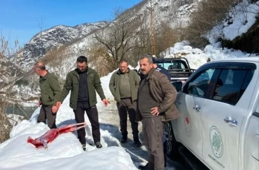 Artvin’de kaçak avcılar suçüstü yakalandı
