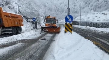 Artvin’de kar yağışı Hopa-Borçka karayolunu olumsuz etkiledi
