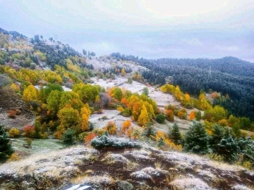 Artvin’de kar yağışı sonrası yüksek kesimler beyaza büründü
