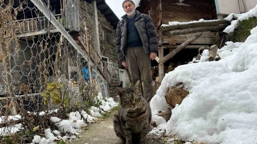 Artvin’de mezrada mahsur kalan kedileri için karlı yolları aşarak yiyecek taşıyor
