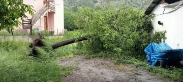 Artvin’de şiddetli rüzgar ağaçları devirdi, çatıları uçurdu
