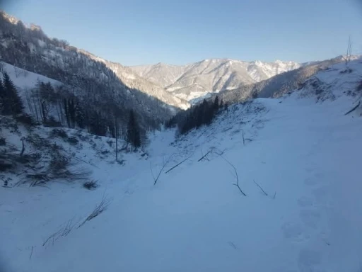 Artvin’de yoğun kar yağışının ardından bu kez çığ tehlikesi baş gösterdi
