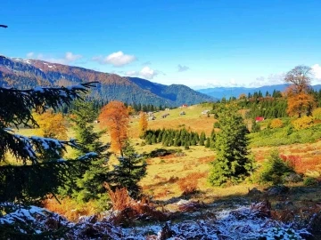 Artvin’den sonbahar manzaraları
