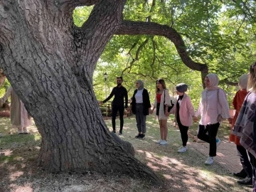 Asırlık ağaçlar haritalandırılıyor
