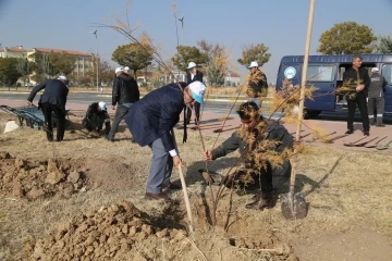 ASÜ’de 435 fidan toprakla buluşturuldu
