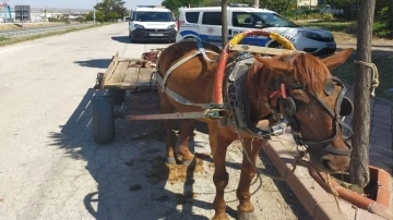 At arabasıyla demir çalan hırsılar yakalandı
