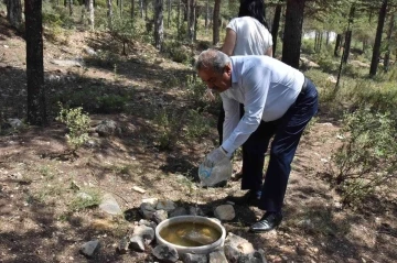 Atatürk Ormanına hayvanlar için yem bırakıldı
