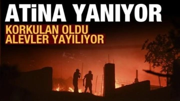 Atina'da orman yangını: Evlere de sıçradı