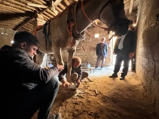 ’Atların diyarı’nda nalbantlık son demlerini yaşıyor
