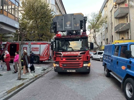 Avcılar’da yangın çıkan dairede mahsur kalan tavşanı itfaiye kurtardı
