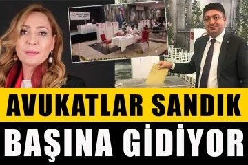 Avukatlar sandık başına gidiyor!